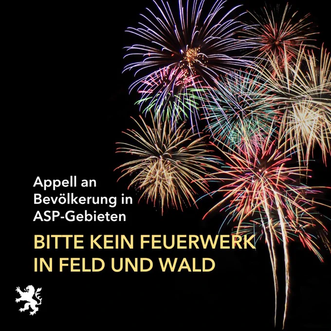 Bild: Feuerwehr am Nachthimmel
Text: Appell an Bevölkerung in ASP-Gebieten - Bitte kein Feuerwerk in Feld und Wald