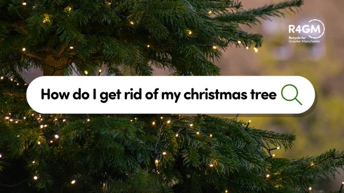 Christmas tree in the background, with an internet search bar in the foreground and the words 'How do I get rid of my Christmas tree'.