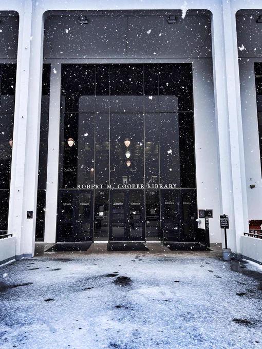 A photo of the front doors of Cooper Library with snow falling and snow on the ground