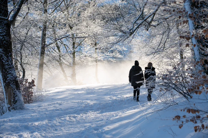 Friends walking in a misty winter forest