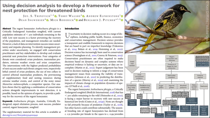 Left: First page of the article 'Using decision analysis to develop a framework for nest protection for threatened birds'. Top right: Image of a black and yellow regent honeyeater sitting on a branch. Bottom right: Nest protection action tree for regent honeyeaters created following expert discussion.