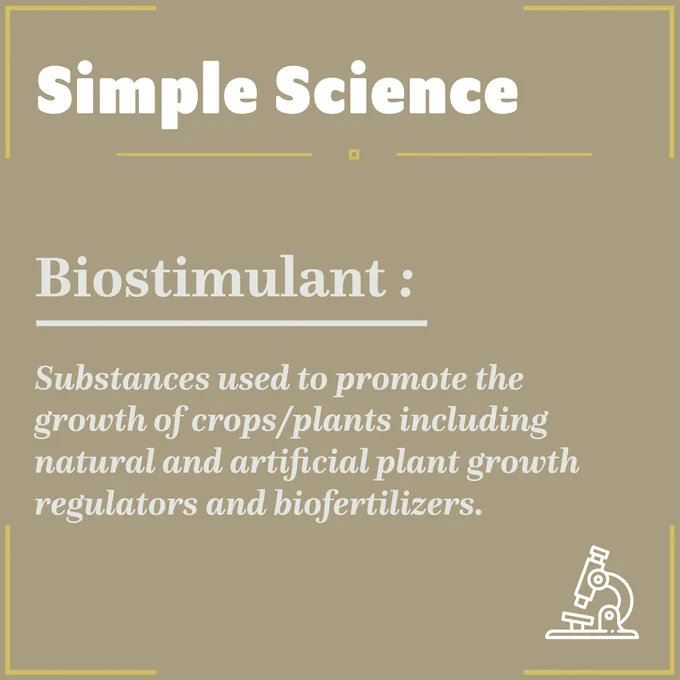 At EcoTea our biostimulants not only support crop development directly but also support the biology on their roots further boosting the impact.  EcoTea blends biology and biostimulants- and the results show why.

#EcoTea #SoilBiology #SoilHealth #SustainableFarming #SoilScience #LivingSoil #SoilMicrobes #HealthySoils #SoilHealthMatters #Agroecology #SustainableFarming #RegenerativeAgriculture #Regenerative #OrganicFarming #SoilRegen #SoilInnovation #AgTech

#SimpleScience #Biostimulants #EcologyApplied #TheResultsOfBiology
