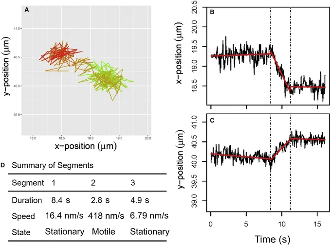 A lysosome trajectory in two-dimensional space, time series of that trajectory, and a chart of the estimated duration, speed, and state of each segment in the trajectory.