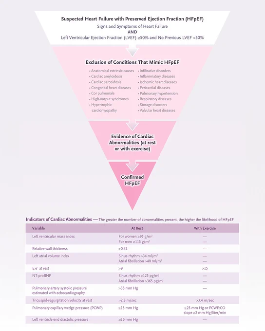 A diagram of a pragmatic approach to the diagnosis of heart failure with preserved ejection fraction. 