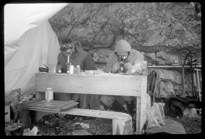 Two men working at a makeshift bench looking into microscopes at samples. The benches and desk are made from planks of wood.
