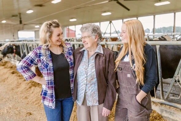 A grandmother and her two granddaughters are posing for a photo in a cow farm. 
