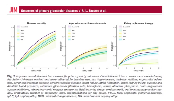 Faucon AL, Lando S, Chrysostomou C, Wijkström J, Lundberg S, Bellocco R, Segelmark M, Evans M, Carrero JJ. Primary glomerular diseases and long-term adverse health outcomes: A nationwide cohort study. J Intern Med. 2025 Jan;297(1):22-35. doi: 10.1111/joim.20024. Epub 2024 Nov 13. PMID: 39537335; PMCID: PMC11636430.