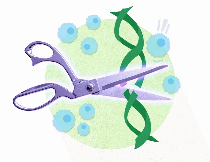 scissors cutting DNA