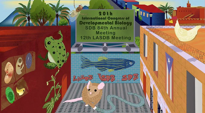 20th ICDB poster showing street scene with graffiti of research organisms and  embryos on buildings in Puerto Rico
Green sign in center with "20th International Congress of Developmental Biology, SDB 84th Annual Meeting, 12th LASDB Meeting"
Blue brick wall in center with zebrafish painting and LASDB, ISDB, and SDB in graffiti; Frog and Arabidopsis sitting on red building to the left; chicken on roof of orange building to the right with Puerto Rican flag hanging; mouse and worm on the street between the buildings.