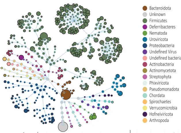 Flower diagram illustrating WMS taxonomic diversity. 