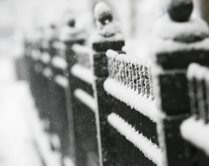 Frost on fence in Cambridge