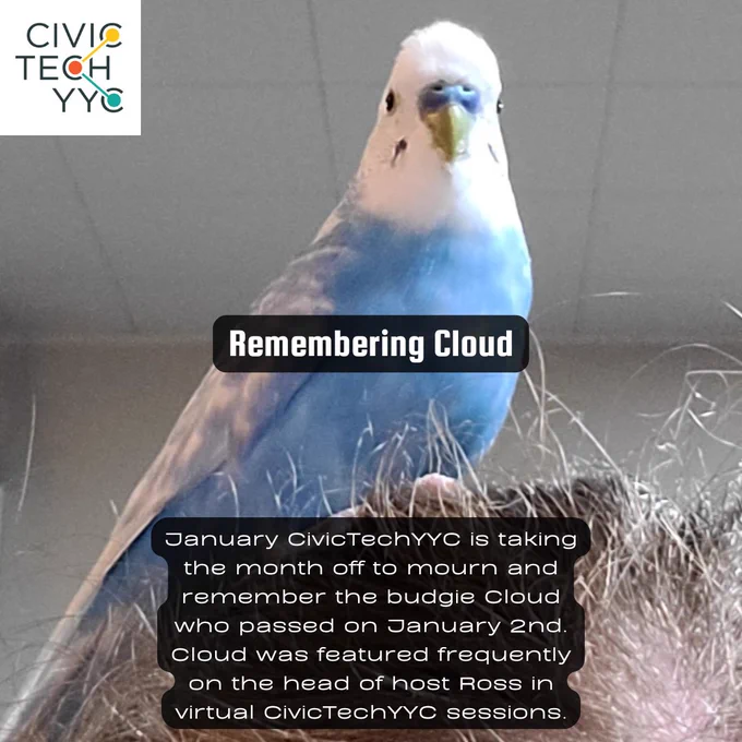 A picture of a blue budgie, Cloud, on the head of host Ross along with the CivicTechYYC logo and event name and description.