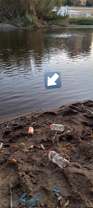 Envasos llençats al riu Besòs avui 10 de gener de 2025