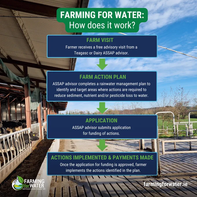 An infographic titled "Farming for Water: How does it work?" explains the process. It includes four steps: 1) Farmer receives free advisory visit from a Teagasc or Dairy ASSAP advisor. 2) Farm Action Plan - Advisor completes a water management plan identifying necessary actions, 3) ASSAP advisor submission and 4) implementation of actions for funding & payments. The background image shows a barn with cattle.