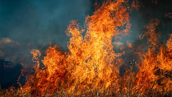  A wildfire 