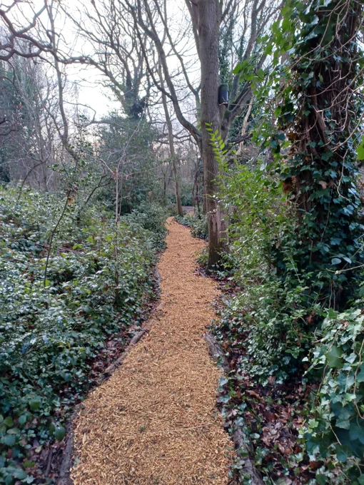 Pathway in Tooting Commons having undergone repairs.