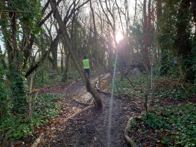 The sun breaking through the woodland area, shining over the path.