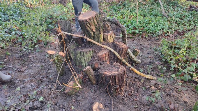 A stag beetle loggery that has been built in Tooting Commons