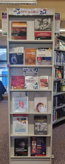 Shelves displaying new books.
