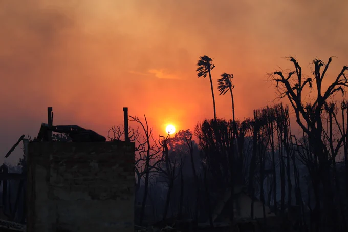 Palisades Fire, California. Photo from CALFIRE Flickr. 