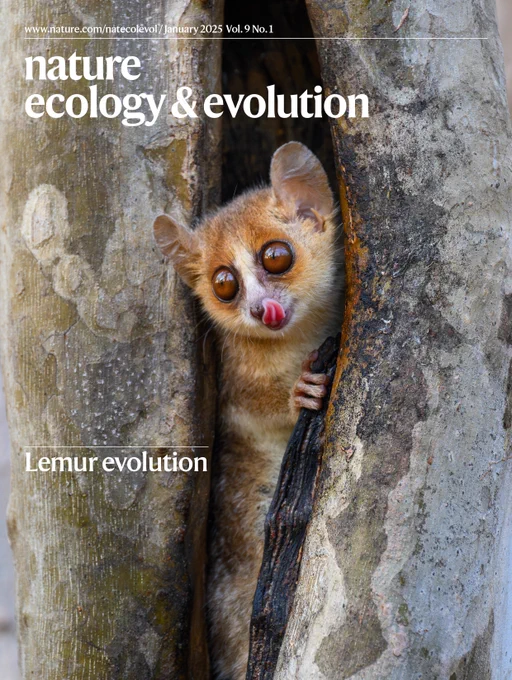 Cover image from the January 2025 issue of Nature Ecology & Evolution, depicting a mouse lemur