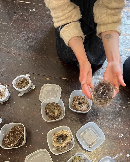 Hands hold a bird's nest donated to the Nature Library. A selection of other donations are nearby in open Tupperwares, including other bird nests and a wasp's nest.