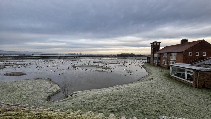 Morning view of the Rushy, WWT Slimbridge
