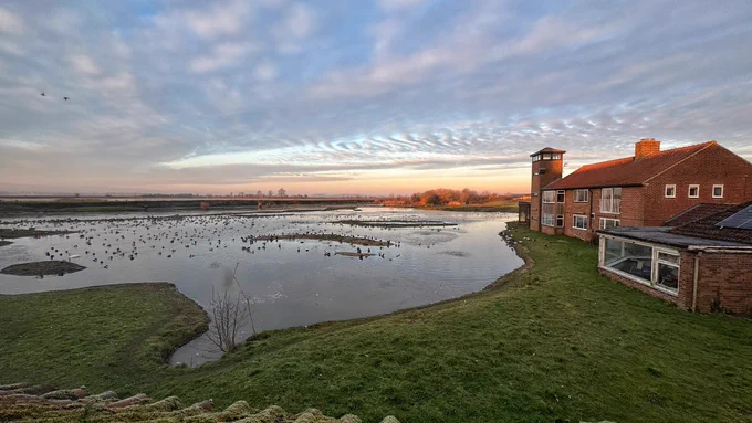 Evening view of the Rushy, WWT Slimbridge