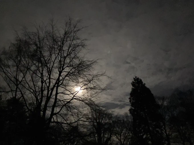 Image of night sky with trees, clouds and moon