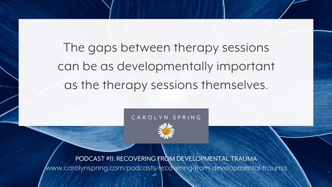 "The gaps between therapy sessions can be as developmentally important as the therapy sessions themselves."