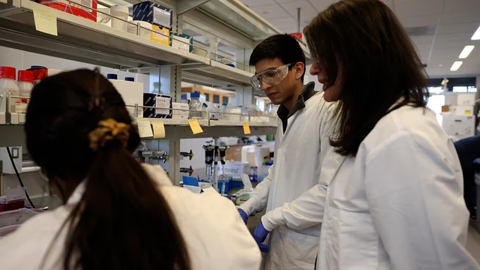 A photo of three scientists working in a lab.