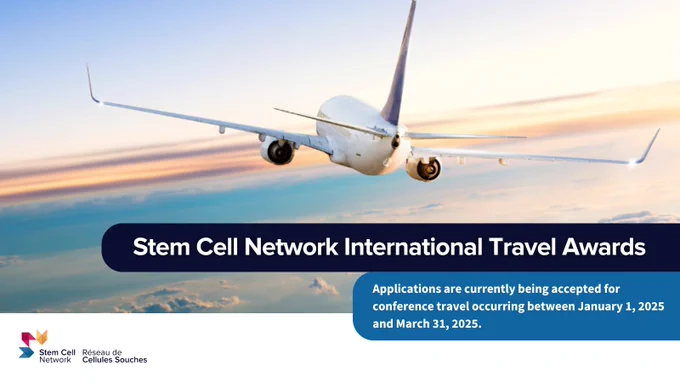 SCN’s International Travel Awards