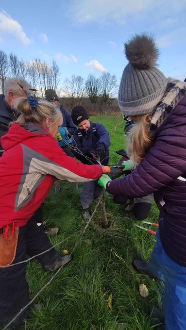A woman demonstrates pruning a tree while people look on.