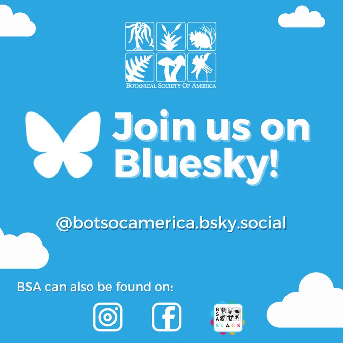 This image shows a blue background with white clouds. A white logo for Bluesky and the words, "Join us on Bluesky!" @botsocamerica.bsky.social. BSA can also be found on Instagram, Facebook, and BSA Slack. The BSA logo can also be seen.