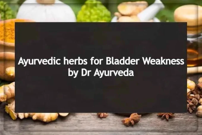 Ayurvedic Herbs for Bladder Weakness by Dr Ayurveda, Birmingham UK 