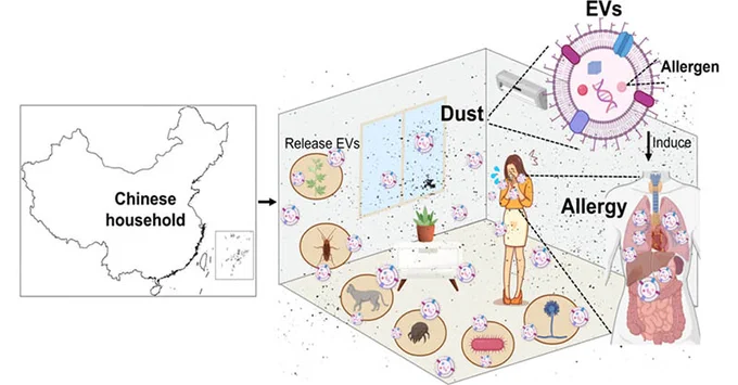 TOC image from the article