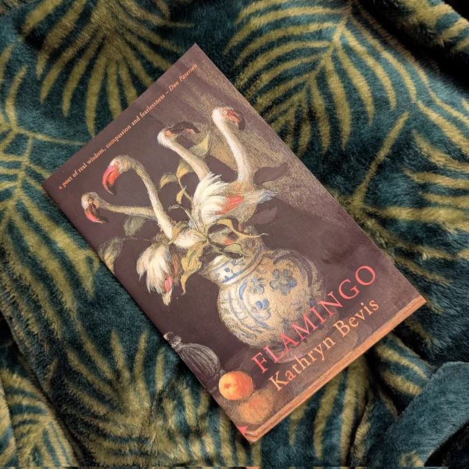 A book, Flamingo by Kathryn Bevis.