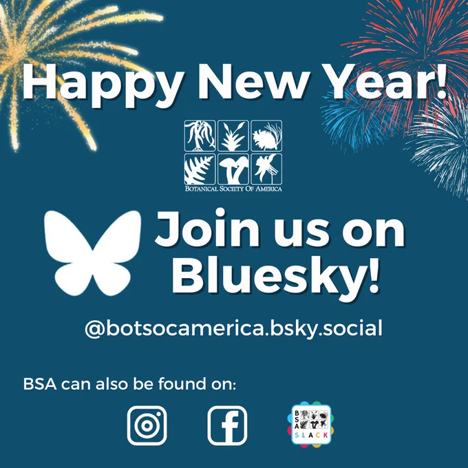 A dark blue background with fireworks can be seen. The BSA logo and the logos for Bluesky, Instagram, Facebook, and BSA Slack are also on the image. Text: Happy New Year! Join us on Bluesky!