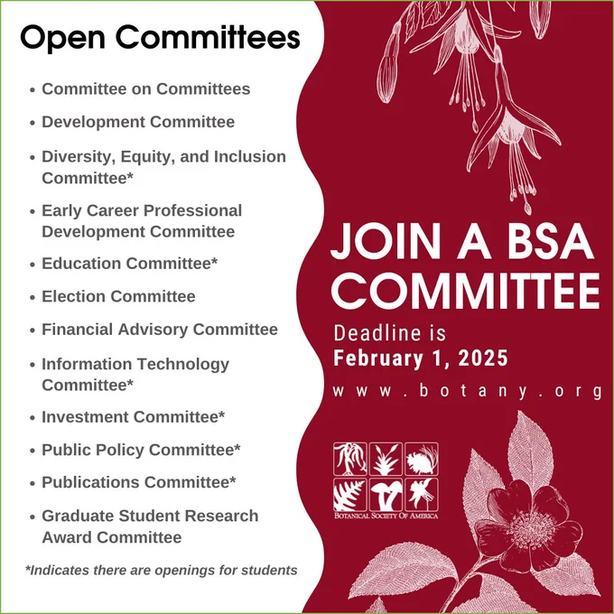 A graphic with a red background titled "Open Committees." It invites participation in BSA committees, listing options such as the Committee on Committees, Development Committee, and Diversity, Equity, and Inclusion Committee (student openings noted with an asterisk). The deadline to apply is February 1, 2025. A floral illustration decorates the graphic, with a URL at the bottom: www.botany.org.
