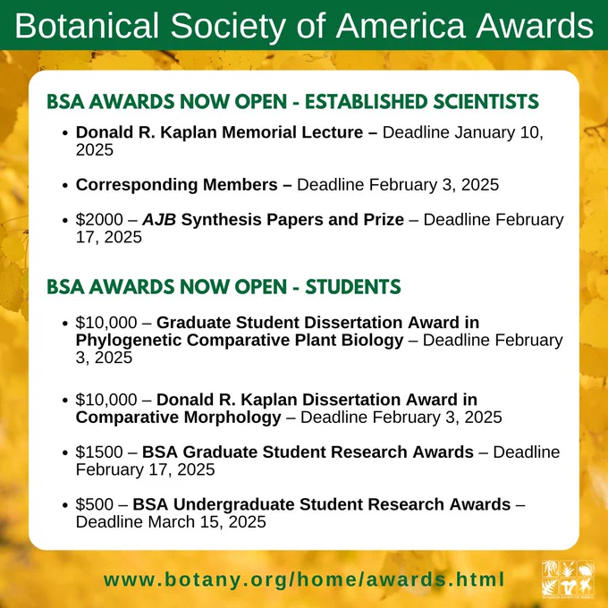 An informational graphic with a green header titled "Botanical Society of America Awards." The graphic is divided into two sections:
BSA Awards Now Open - Established Scientists: Lists three awards, including the Donald R. Kaplan Memorial Lecture (Deadline: January 10, 2025), Corresponding Members (Deadline: February 3, 2025), and AJB Synthesis Papers and Prize with $2000 (Deadline: February 17, 2025).
BSA Awards Now Open - Students: Features awards like the $10,000 Graduate Student Dissertation Award in Phylogenetic Comparative Plant Biology (Deadline: February 3, 2025), the $10,000 Donald R. Kaplan Dissertation Award in Comparative Morphology (Deadline: February 3, 2025), the $1,500 BSA Graduate Student Research Awards (Deadline: February 17, 2025), and the $500 BSA Undergraduate Student Research Awards (Deadline: March 15, 2025).
A URL is included at the bottom: www.botany.org/home/awards.html.