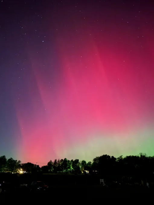 The aurora is a vibrant pink with a soft green edge in this Oct. 10, 2024, photo taken in Krimgold Park in Woodbine, MD. The colorful night sky takes up most of the image. The silhouette of trees frames the bottom of the picture. Credit: Lacey Young