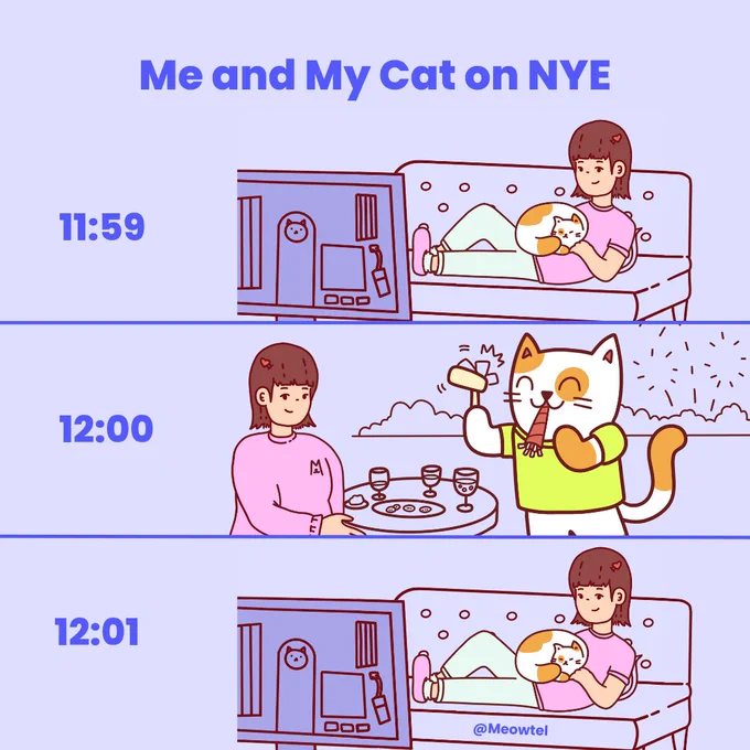 Large purple text reads 'Me and My Cat on NYE'