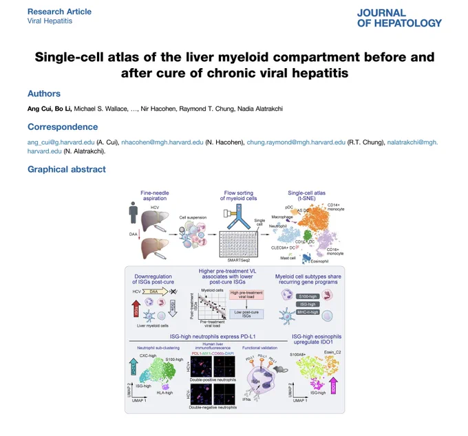 Cui, Li et al., (2024) Single-cell atlas of the liver myeloid compartment before and after cure of chronic viral hepatitis. Journal of Hepatology. https://www.journal-of-hepatology.eu/article/S0168-8278(23)00190-3/fulltext