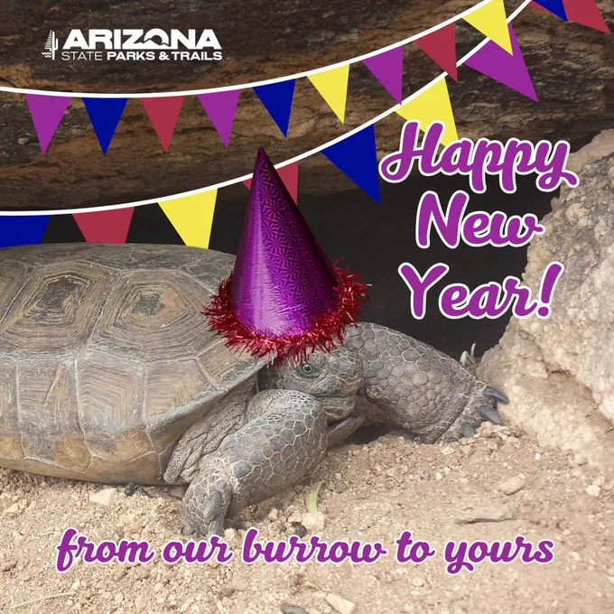 A tortoise wearing a festive purple party hat under a banner reading "Happy New Year!" with text "from our burrow to yours" featured prominently, representing Arizona State Parks & Trails.