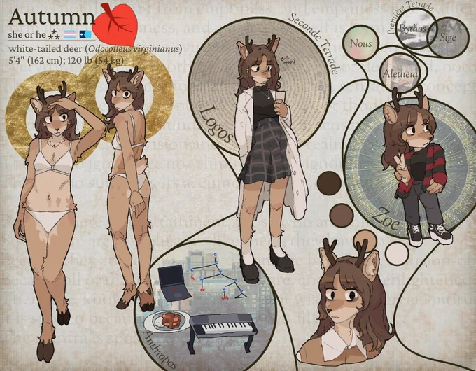my fursona ref sheet