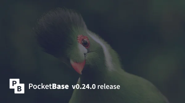 PocketBase v0.24.0 release banner with White-cheeked Turaco in the background.