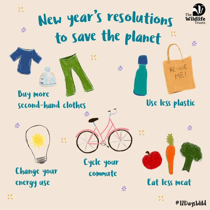 An illustration featuring New Year's resolutions to save the planet by The Wildlife Trusts. Includes icons of second-hand clothes, a lightbulb, a bicycle, a reusable water bottle, and various vegetables, along with text suggesting to buy second-hand clothes, change energy use, cycle more, eat less meat, and use less plastic.