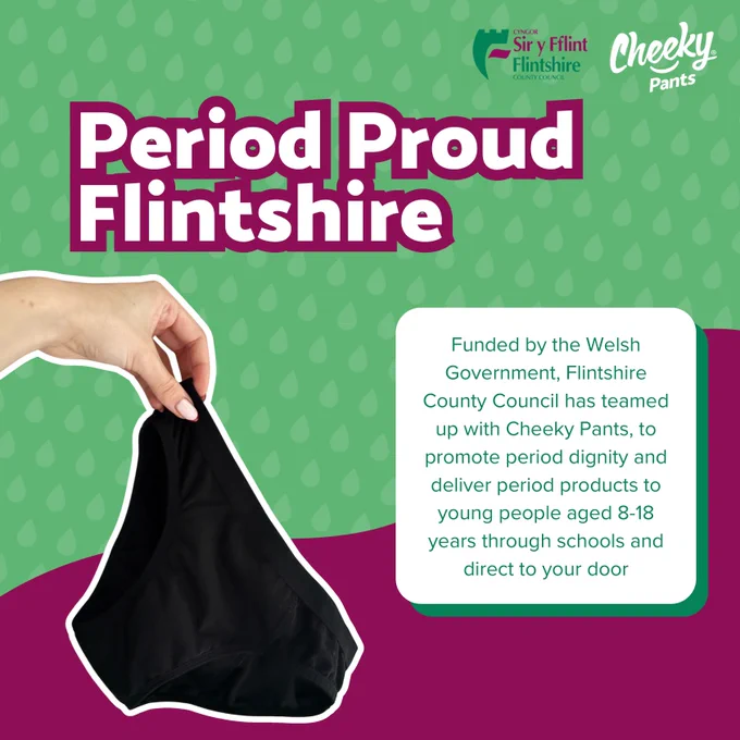 Period Proud Flintshire
Funded by the Welsh Government, Flintshire County Council has teamed up with Cheeky Pants, to promote period dignity and deliver period products to young people aged 8-18 years through schools and direct to your door