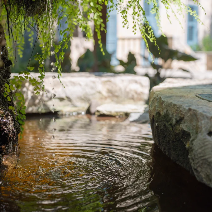 A serene scene depicting a small, clear pond surrounded by large rocks and overhanging green branches, with sunlight filtering through the foliage.