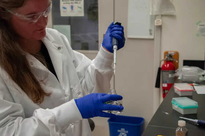 A researcher wearing goggles and protective gloves works with a bottle and pipette